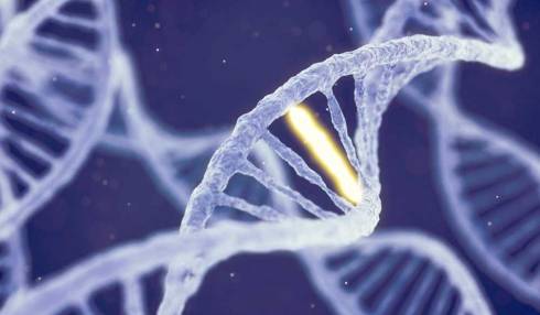 MTHFR-A-Drop-In-The-Ocean